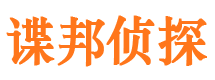 奈曼旗市调查公司